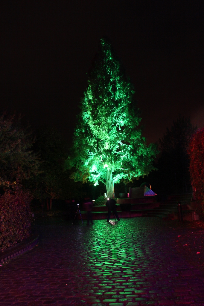 Herbstleuchten 171009  (18).JPG